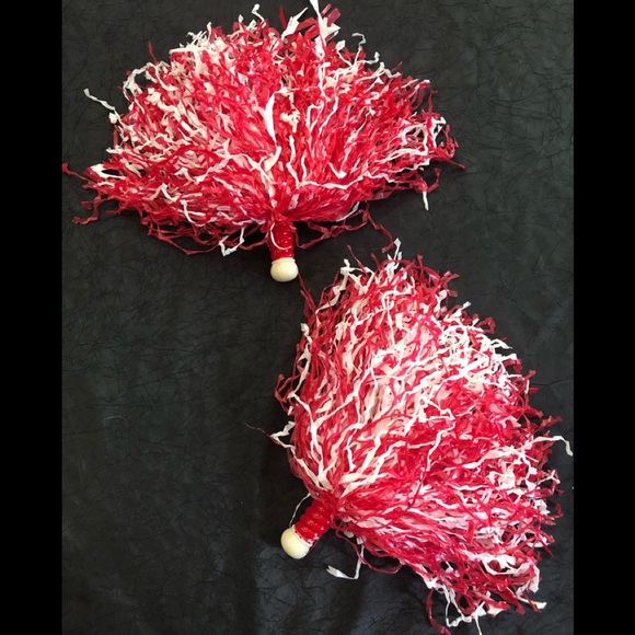 Other - High School Musical costume Pom poms